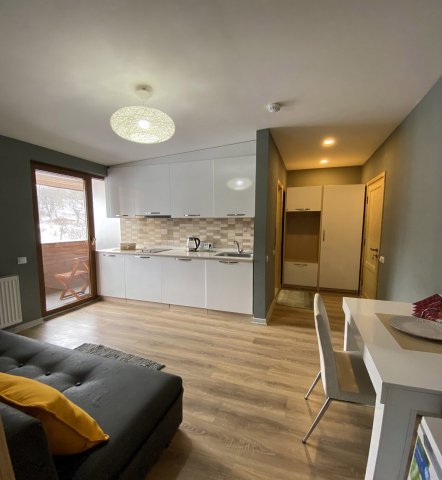 REDCO VALLEY BAKURIANI დიდველისა და ტატრას სასრიალოსთან ქირავდება დღიურად 2 ოთახიანი 46კვ.მ