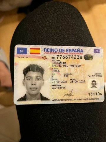 visas, biometric passport