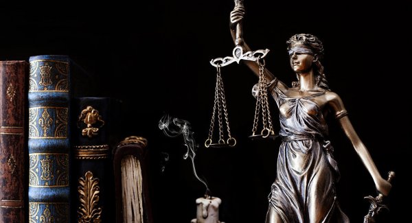 სამართლებრივი დახმარება/Legal advice (იურიდიული მომსახურება, ადვოკატი)